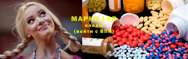 стаф Липки