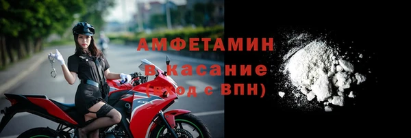 винт Лагань