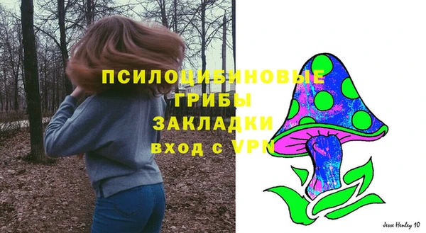винт Лагань