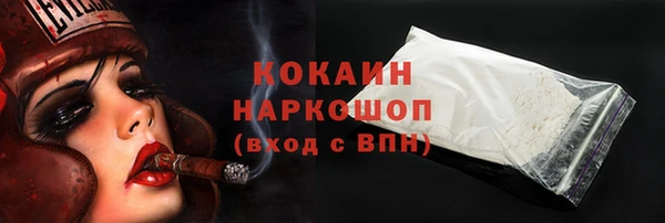 винт Лагань