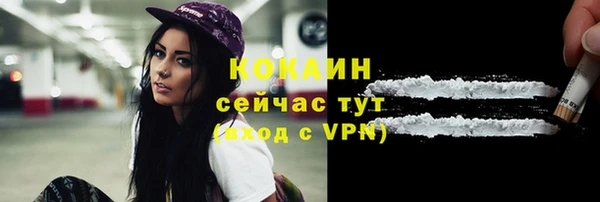 винт Лагань