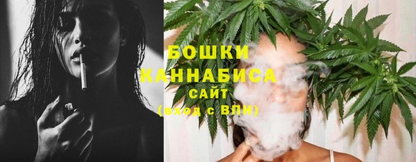 винт Лагань