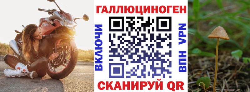 Галлюциногенные грибы GOLDEN TEACHER  Ливны 