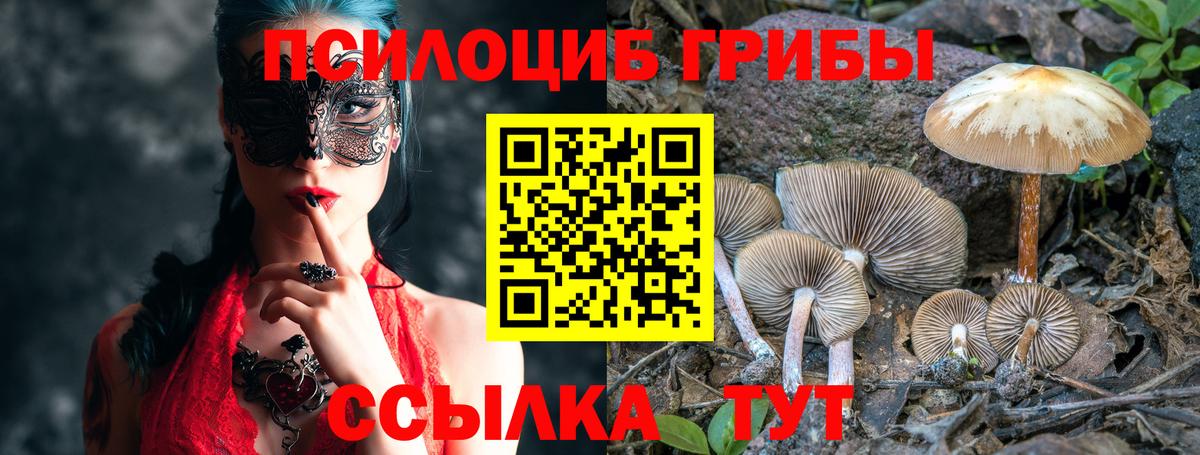 Ливны  Псилоцибиновые грибы прущие грибы  Вход с VPN  Псилоцибиновые грибы ЛСД 